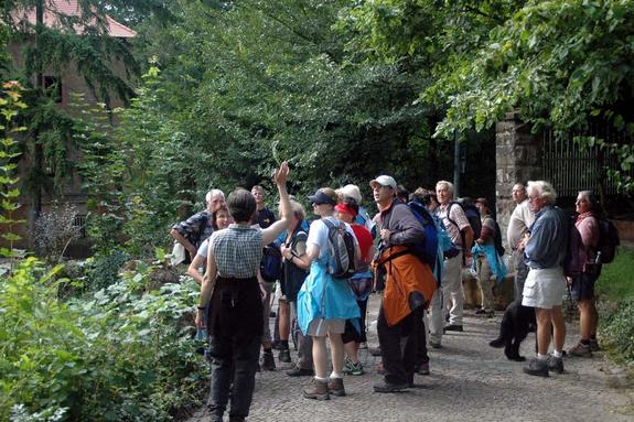 Mehrere Wanderer unterwegs im Wald